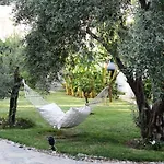 Hotel Mavi Turkbuku 4*