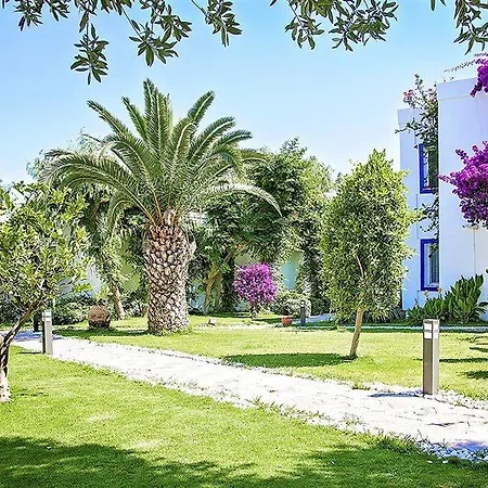 Otel Mavi Turkbuku