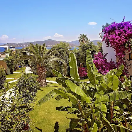 Mavi Turkbuku Otel 3*