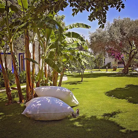 Mavi Turkbuku Otel