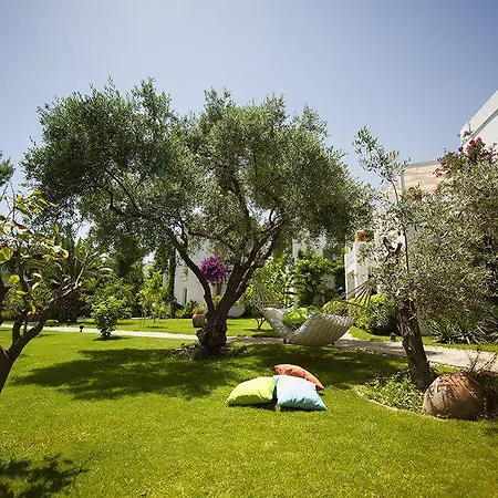 Mavi Turkbuku Otel Göltürkbükü