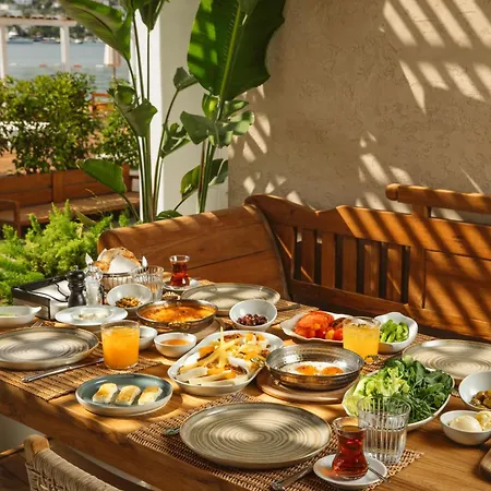 Otel Mavi Turkbuku 3*