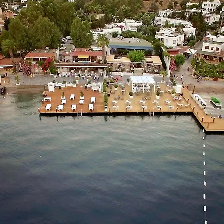 Mavi Turkbuku Otel