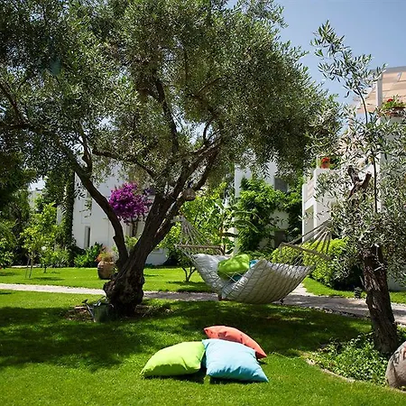 Mavi Turkbuku Hotel 3*