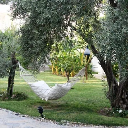 Otel Mavi Turkbuku 4*