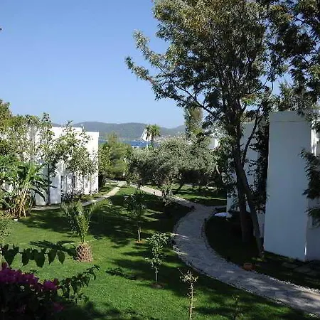 Mavi Turkbuku 3*