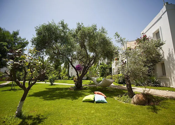 Mavi Hotel Golturkbuku