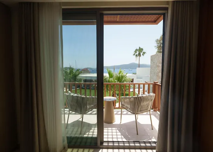 Mavi Turkbuku Golturkbuku